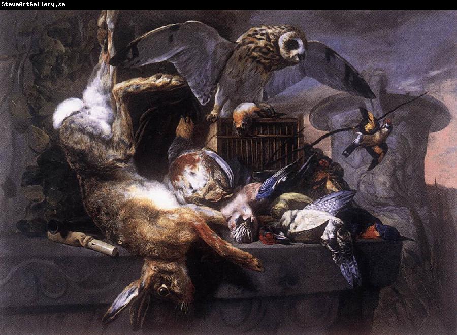 BOEL, Pieter Still-Life with Owl  gfh